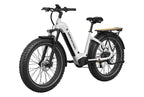 Basalt ST Ebike