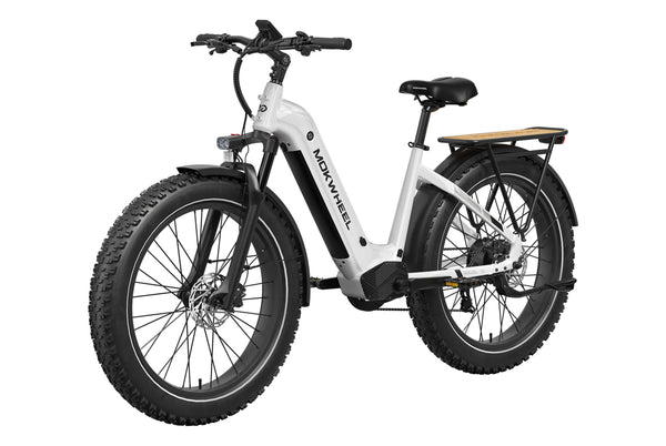 Basalt ST EbikeWhite