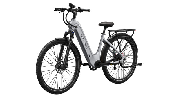 Tarmac ST EbikeSmoke Grey
