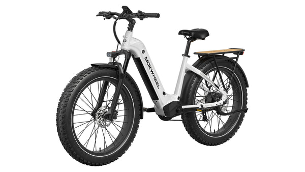 Basalt ST EbikeWhite