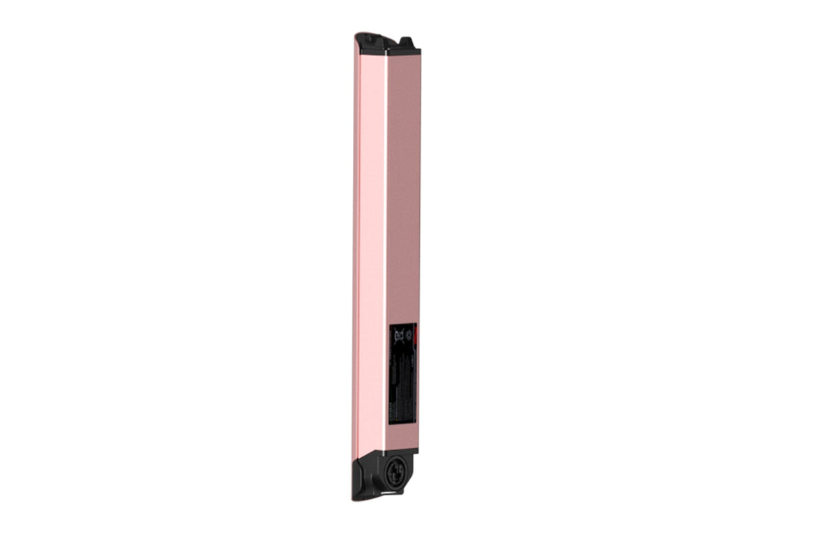 Battery(FLINT)