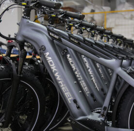 Mokwheel Ebikes