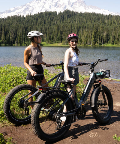 Mokwheel Mesa Plus ST - low step through electric bike
