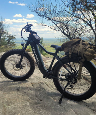 Mokwheel Tor Plus - best e bike mountain bike
