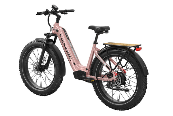 Basalt ST 2.0 EbikeStandard / Crystal Pink