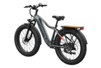 Tor Plus Ebike