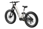 Onyx ST Ebike