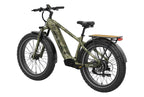 Basalt Ebike