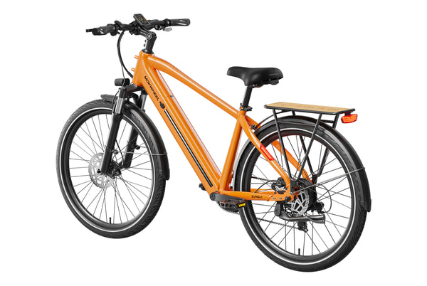 Asphalt Ebike
