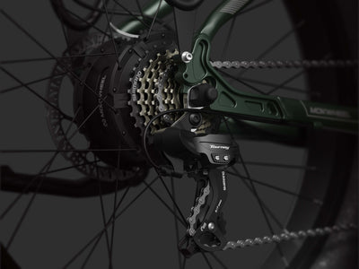 Mokwheel ebike with 7-speed derailleur for smooth, seamless gear transitions without chain drops