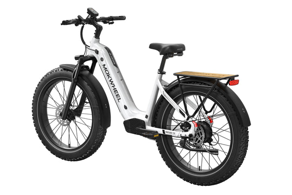 Basalt ST 2.0 Ebike