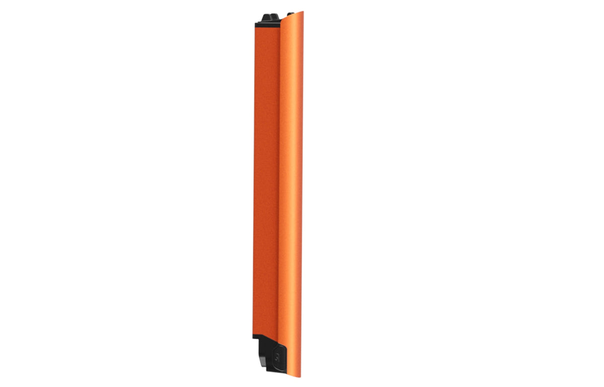 Battery(FLINT)