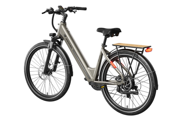 Asphalt ST EbikeStandard / Mocha