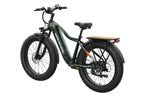 Tor Plus Ebike