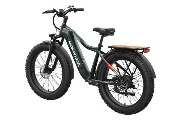 Tor Plus Ebike