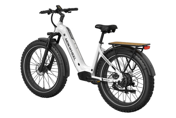 Basalt ST EbikeWhite