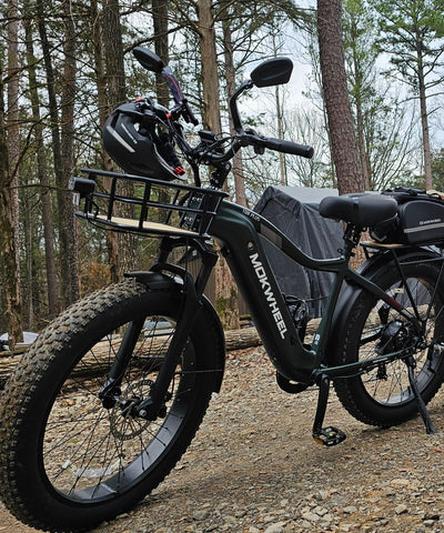 Mokwheel Tor Plus - electric bike with high weight capacity
