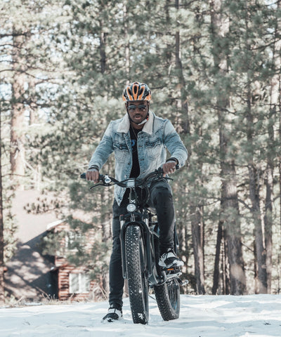 Mokwheel Tor Plus - electric bike for heavy adults
