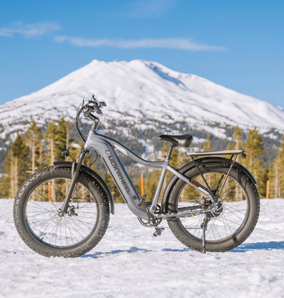 Mokwheel Ebikes