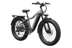 Tor Plus Ebike