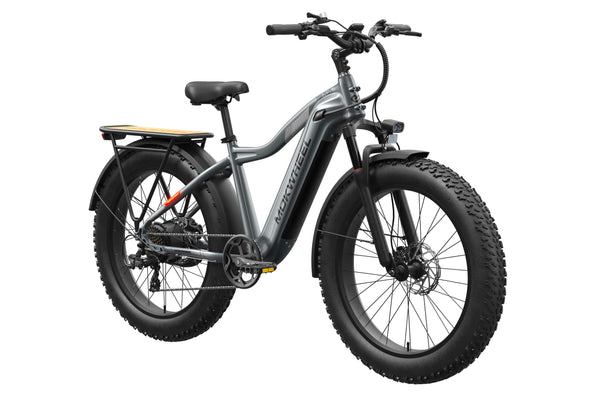 Tor Plus Ebike