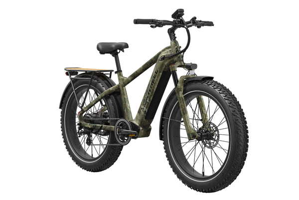 Basalt 2.0 Ebike