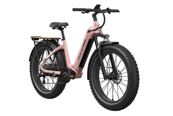 Basalt ST EbikeCrystal Pink