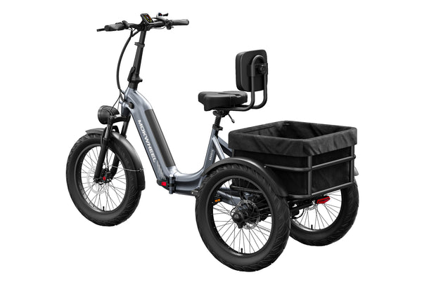 Granite E-TrikeGrey