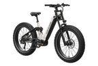 Onyx ST Ebike