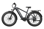 Grey Basalt| Long Range Electric Mountain Bike for Adults| Mokwheel Ebikes