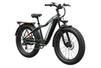 Tor Plus Ebike