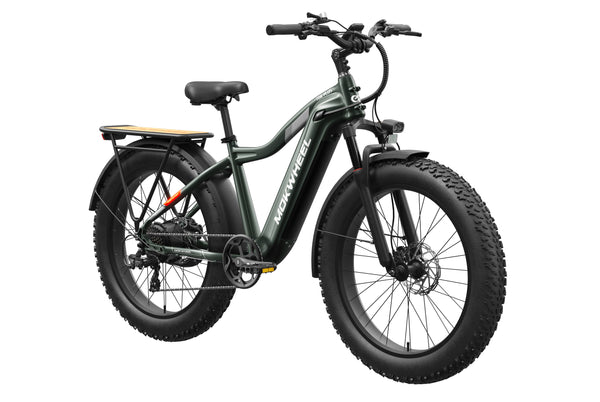 Tor Plus Ebike