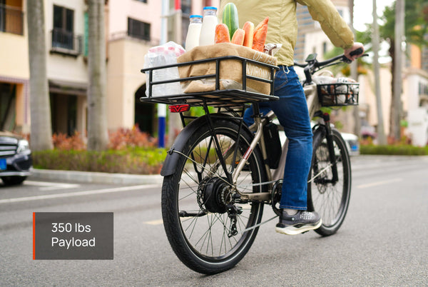 Asphalt ST EbikeStandard / White