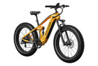 Obsidian Ebike