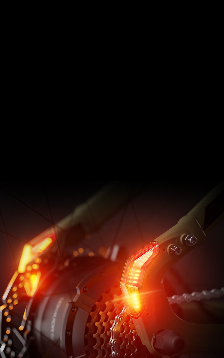 Mokwheel Ebikes