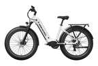 Basalt ST 2.0 Ebike