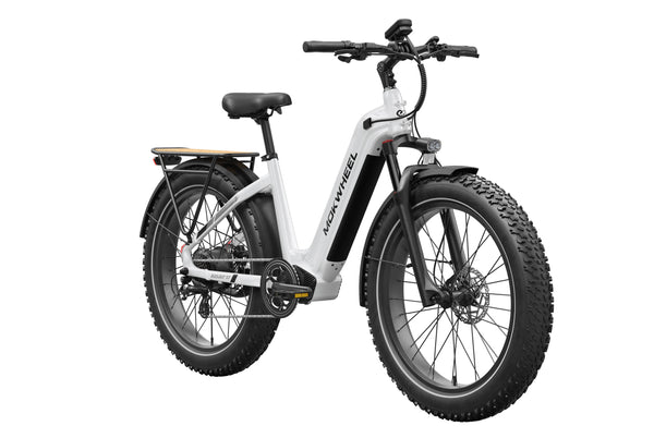 Basalt ST 2.0 Ebike
