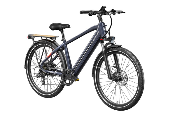 Asphalt Ebike