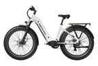 Basalt ST Ebike