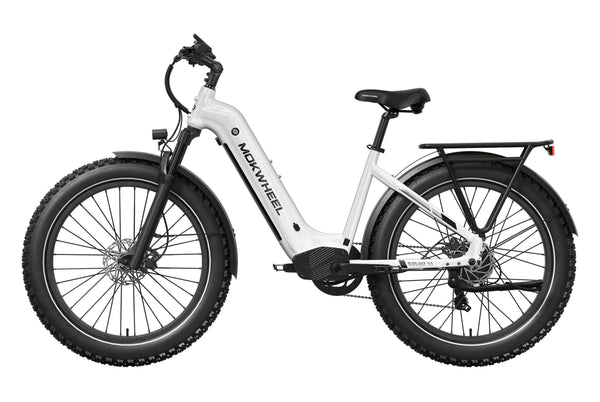 Basalt ST EbikeWhite