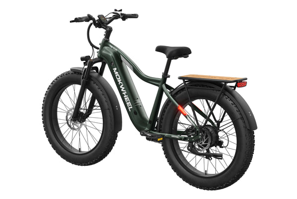 Green Tor Plus| Best E Mountain Bike For Adults| Mokwheel Ebikes