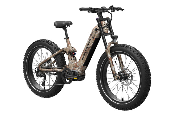Onyx ST Ebike