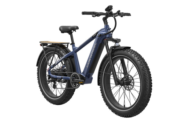 Basalt 2.0 EbikeDarkBlue