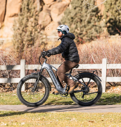 Mokwheel Ebikes
