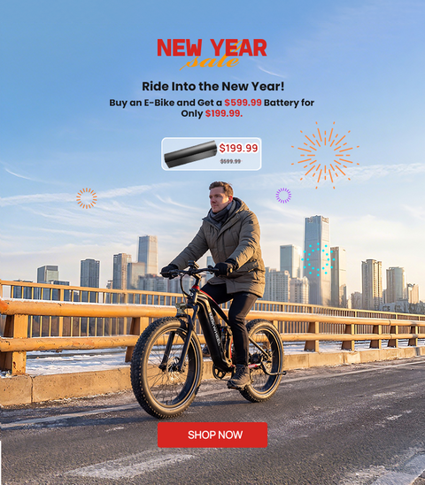 Mokwheel Ebikes