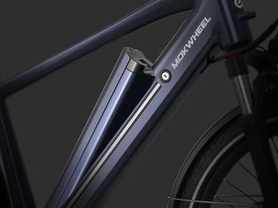 Extended beach rides: Swapping Mokwheel's battery with onboard spare holder