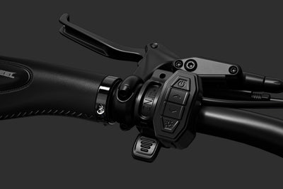 Pedal Assist + Throttle