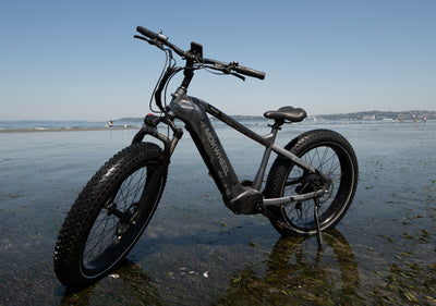 Mokwheel - most reliable ebike brands
