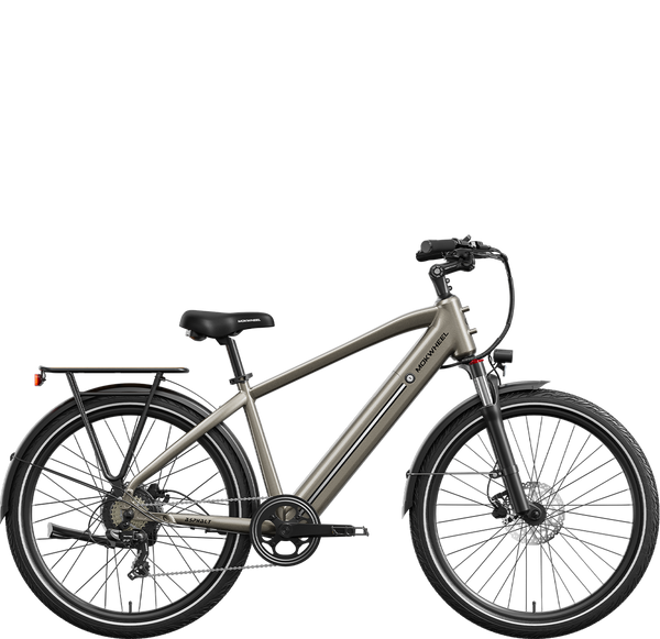 Asphalt | Men's Beach Cruiser Electric Bike | Cruiser Ebike