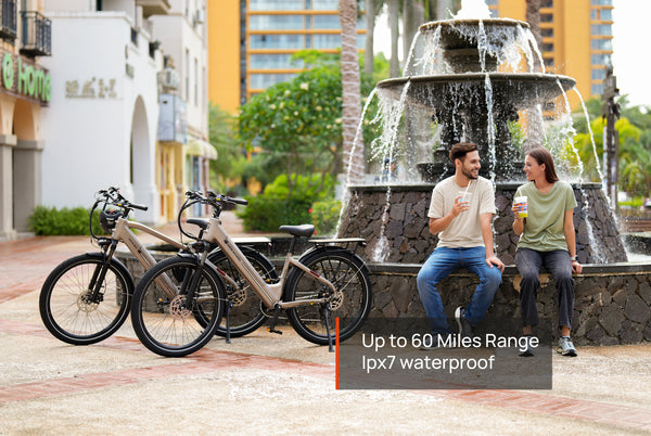 Asphalt ST EbikeStandard / Mocha